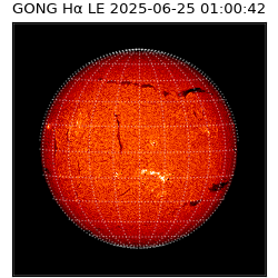gong - 2025-06-25T01:00:42