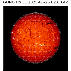 gong - 2025-06-25T02:00:42
