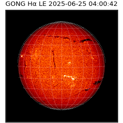 gong - 2025-06-25T04:00:42