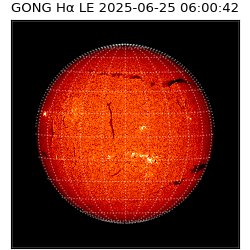 gong - 2025-06-25T06:00:42