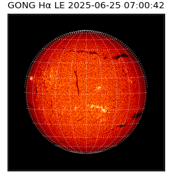 gong - 2025-06-25T07:00:42