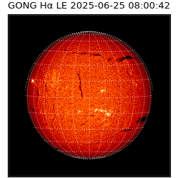 gong - 2025-06-25T08:00:42