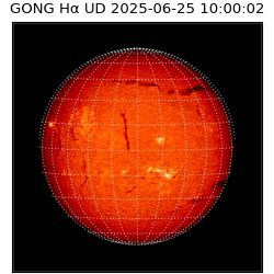 gong - 2025-06-25T10:00:02