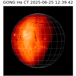 gong - 2025-06-25T12:39:42