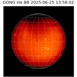 gong - 2025-06-25T13:58:02