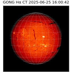 gong - 2025-06-25T16:00:42