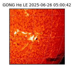 gong - 2025-06-26T05:00:42