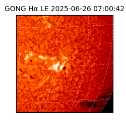 gong - 2025-06-26T07:00:42