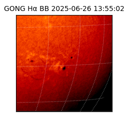 gong - 2025-06-26T13:55:02