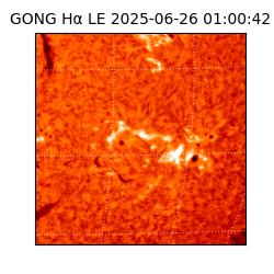 gong - 2025-06-26T01:00:42