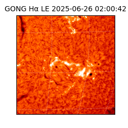 gong - 2025-06-26T02:00:42