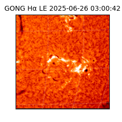 gong - 2025-06-26T03:00:42