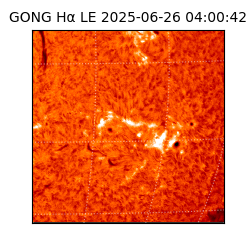 gong - 2025-06-26T04:00:42