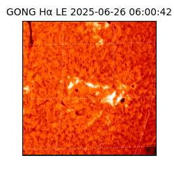 gong - 2025-06-26T06:00:42