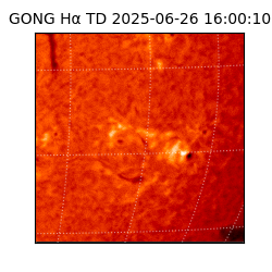 gong - 2025-06-26T16:00:10