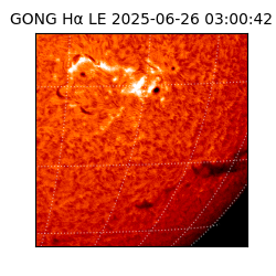 gong - 2025-06-26T03:00:42