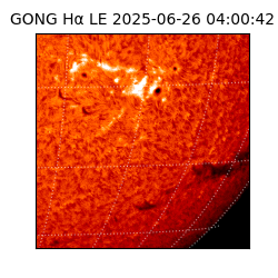 gong - 2025-06-26T04:00:42