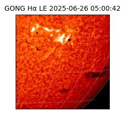 gong - 2025-06-26T05:00:42