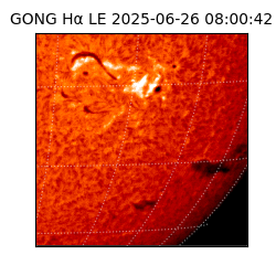 gong - 2025-06-26T08:00:42