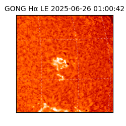 gong - 2025-06-26T01:00:42