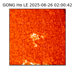 gong - 2025-06-26T02:00:42