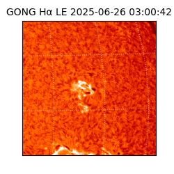 gong - 2025-06-26T03:00:42