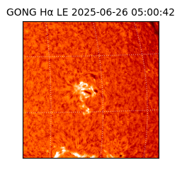 gong - 2025-06-26T05:00:42