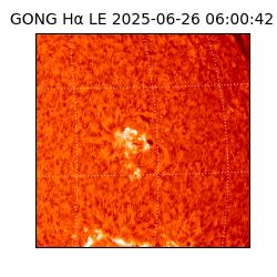 gong - 2025-06-26T06:00:42