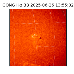 gong - 2025-06-26T13:55:02