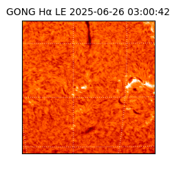 gong - 2025-06-26T03:00:42