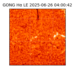 gong - 2025-06-26T04:00:42