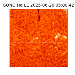 gong - 2025-06-26T05:00:42