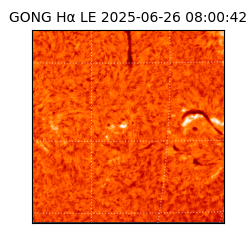 gong - 2025-06-26T08:00:42