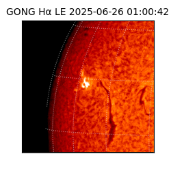 gong - 2025-06-26T01:00:42