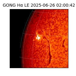 gong - 2025-06-26T02:00:42