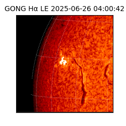 gong - 2025-06-26T04:00:42