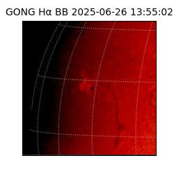 gong - 2025-06-26T13:55:02