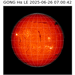 gong - 2025-06-26T07:00:42