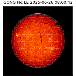 gong - 2025-06-26T08:00:42