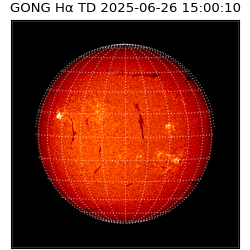 gong - 2025-06-26T15:00:10