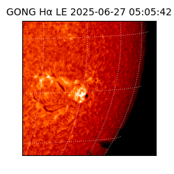 gong - 2025-06-27T05:05:42