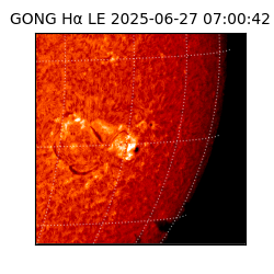 gong - 2025-06-27T07:00:42