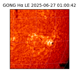 gong - 2025-06-27T01:00:42