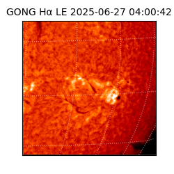 gong - 2025-06-27T04:00:42