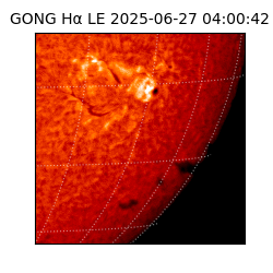 gong - 2025-06-27T04:00:42