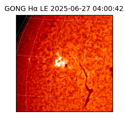 gong - 2025-06-27T04:00:42