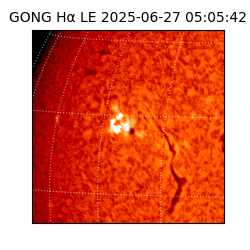 gong - 2025-06-27T05:05:42