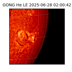 gong - 2025-06-28T02:00:42