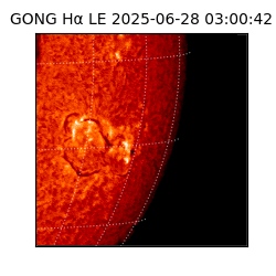 gong - 2025-06-28T03:00:42