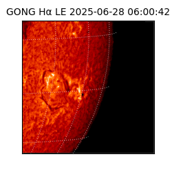 gong - 2025-06-28T06:00:42